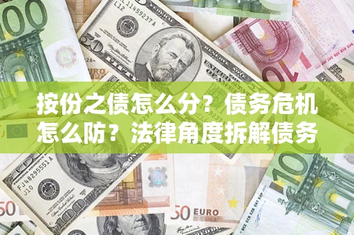 武汉按份之债怎么分？债务危机怎么防？法律角度拆解债务分配与风险自保指南