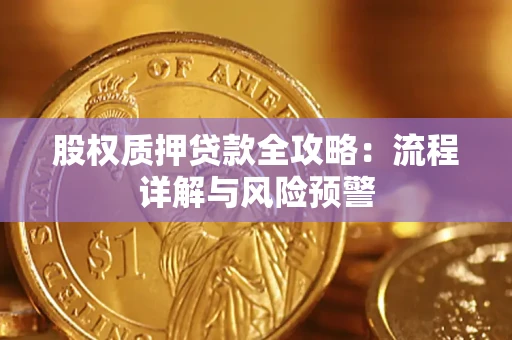 武汉股权质押贷款全攻略：流程详解与风险预警