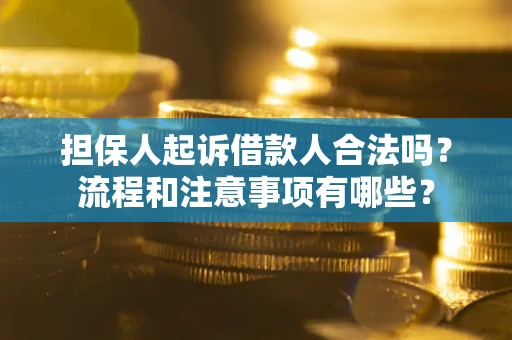武汉担保人起诉借款人合法吗？流程和注意事项有哪些？