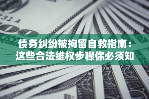 武汉债务纠纷被拘留自救指南：这些合法维权步骤你必须知道！