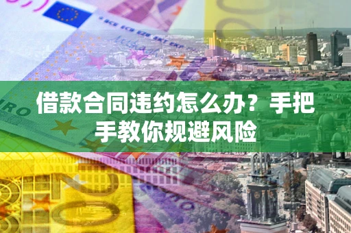 武汉借款合同违约怎么办？手把手教你规避风险