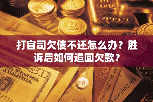 武汉打官司欠债不还怎么办？胜诉后如何追回欠款？