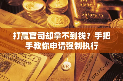 武汉打赢官司却拿不到钱？手把手教你申请强制执行