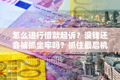武汉怎么进行借款起诉？没钱还会被抓坐牢吗？抓住最后机会！