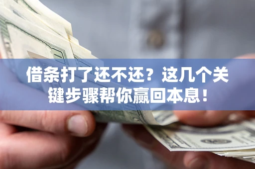 武汉借条打了还不还？这几个关键步骤帮你赢回本息！
