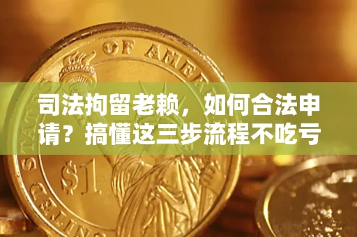 武汉司法拘留老赖，如何合法申请？搞懂这三步流程不吃亏！