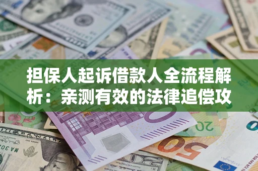 武汉担保人起诉借款人全流程解析：亲测有效的法律追偿攻略