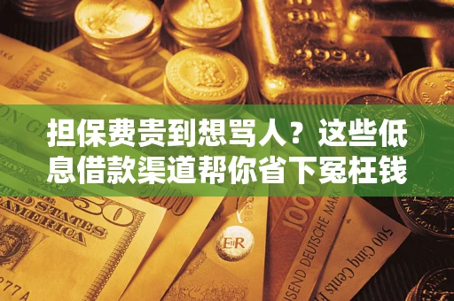 武汉担保费贵到想骂人？这些低息借款渠道帮你省下冤枉钱