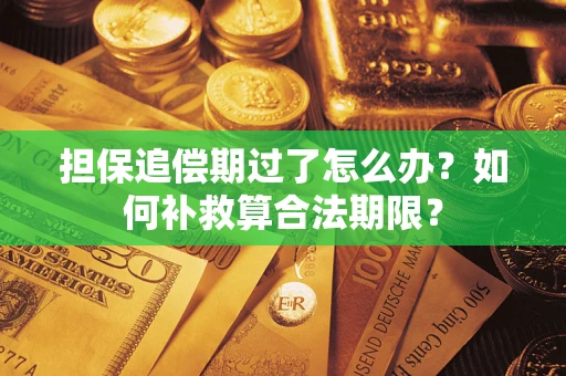 武汉担保追偿期过了怎么办？如何补救算合法期限？