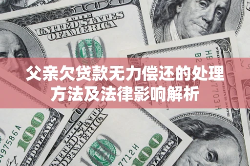武汉父亲欠贷款无力偿还的处理方法及法律影响解析